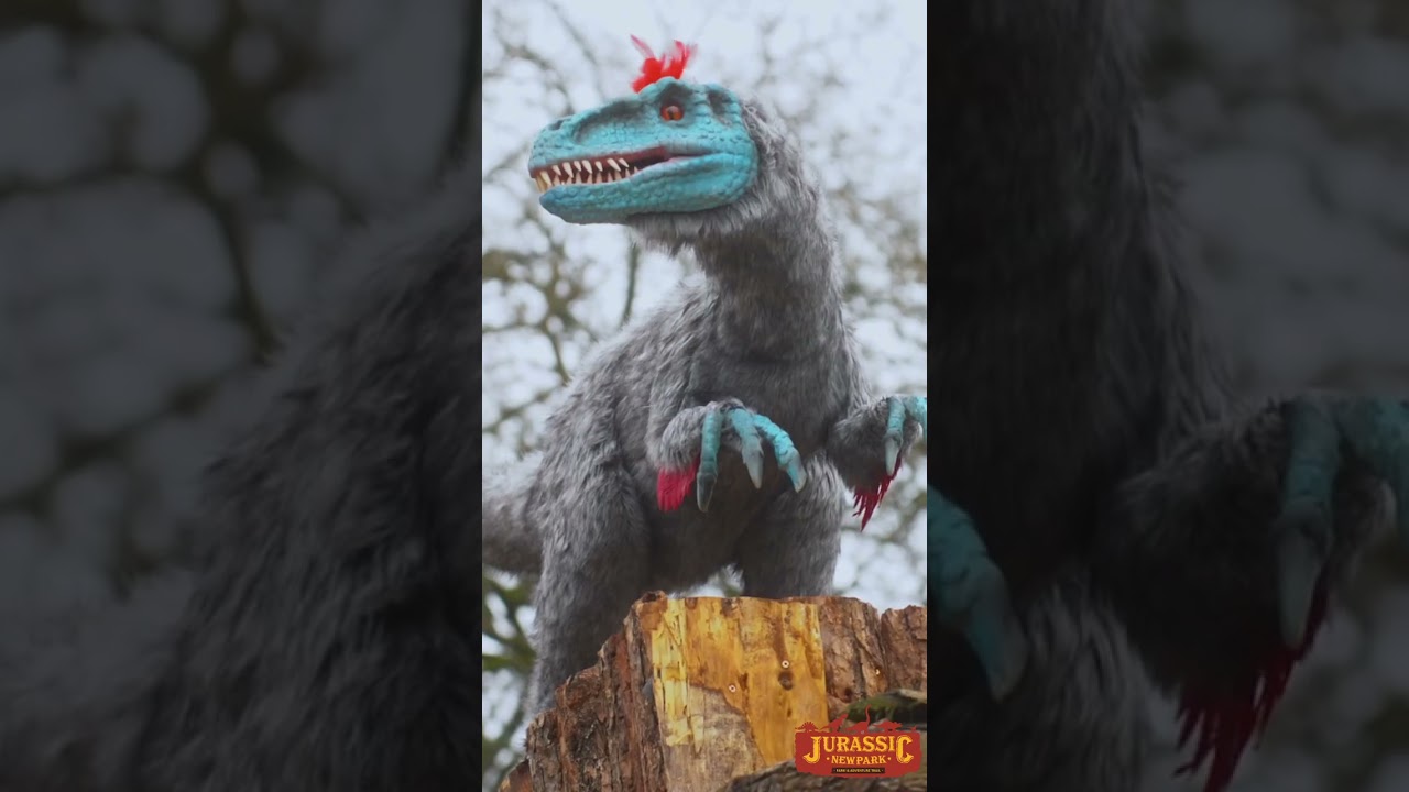 jurassic Newpark Kilkenny