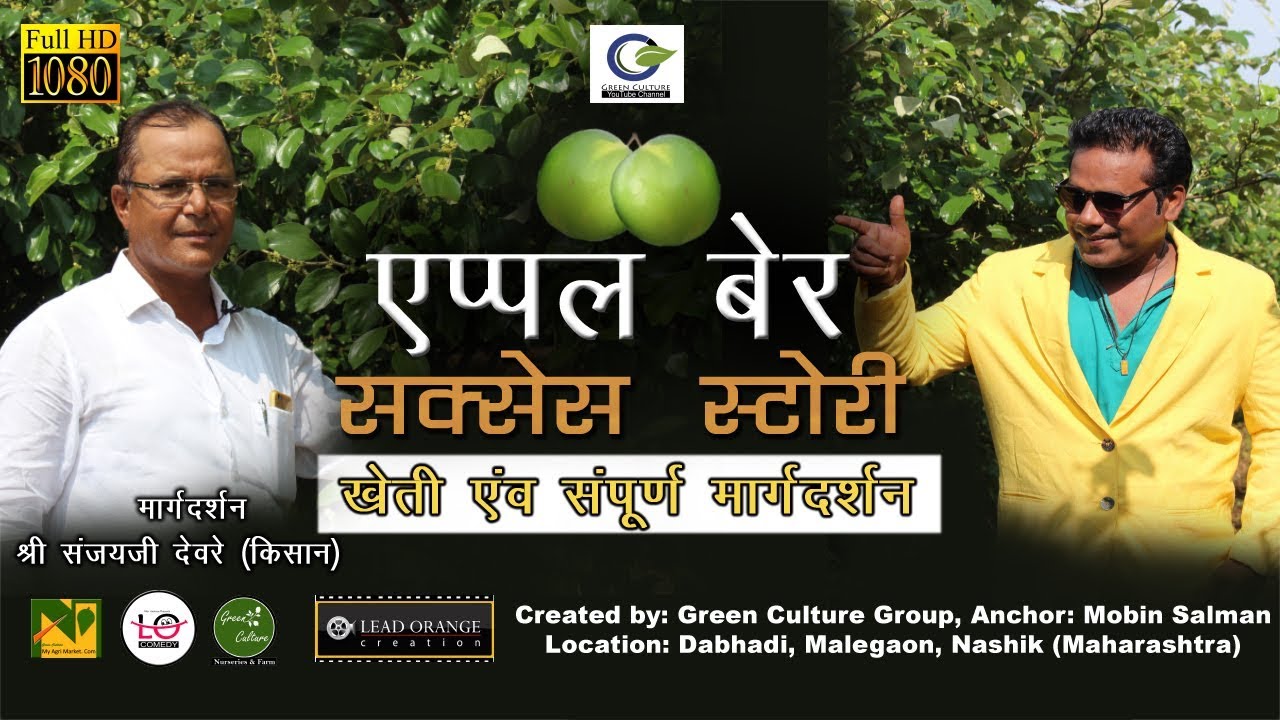 एप्पल बेर खेती एवं मार्गदर्शन  | Apple Ber Farming and Guidance | Success Story