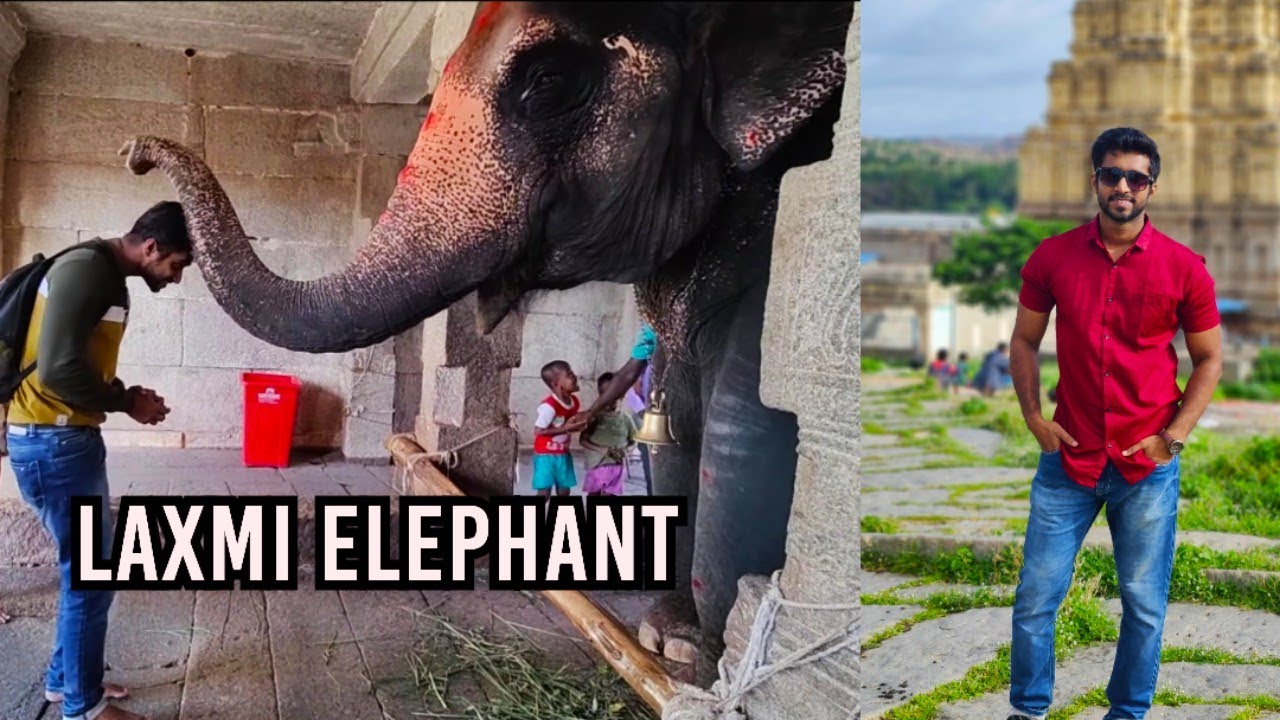 Hampi Ep 02 - Laxmi Elephant in Virupaksha temple