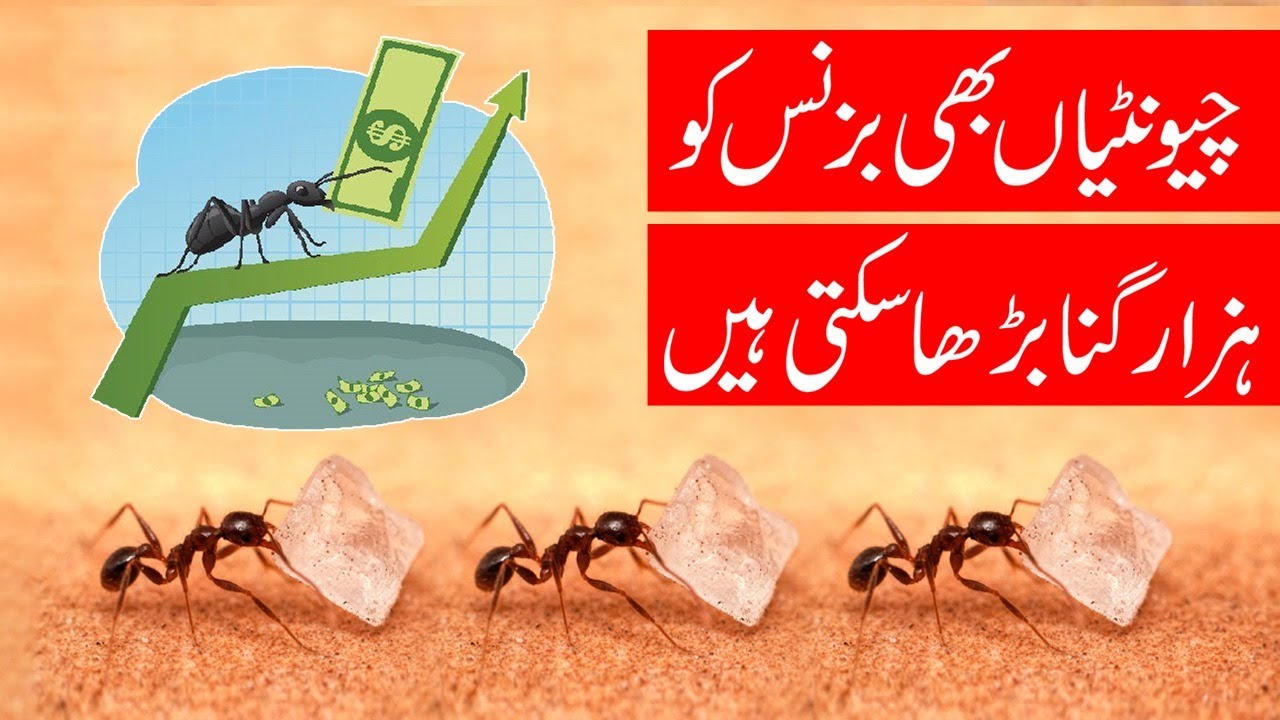 Rule for Success | Javed Chaudhry | SX1F