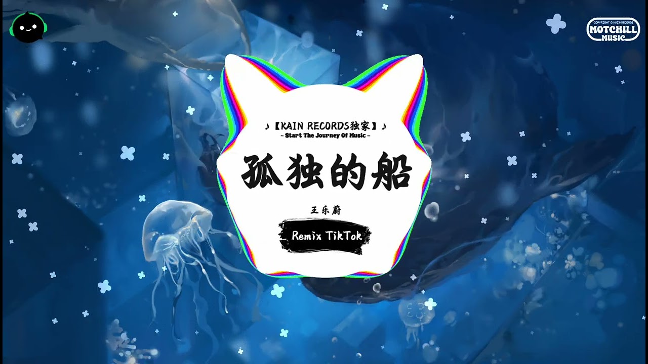 孤独的船 (抖音DJ版) - 王乐蔚「她曾 抚下旁人的假面，也曾散青丝与之缠绵。」♪ || 一听就上头的音乐 | 抖音热搜版 | 抖音 | TikTok ♪