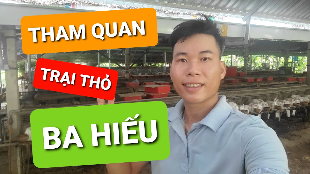 TRẠI THỎ BA HIẾU(THAM QUAN MÔ HÌNH TRẠI THỎ LỚN NHẤT SÀI GÒN) | Chủ Lâm TV