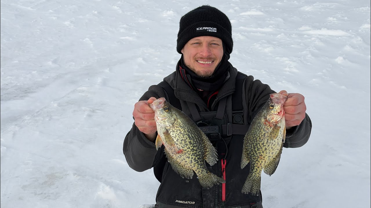 In search for a crappie harvest! Successful day time bite!