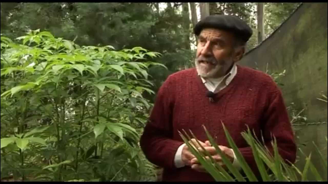Arboretum de Cerro Pelado - Valorizando nuestra flora nativa