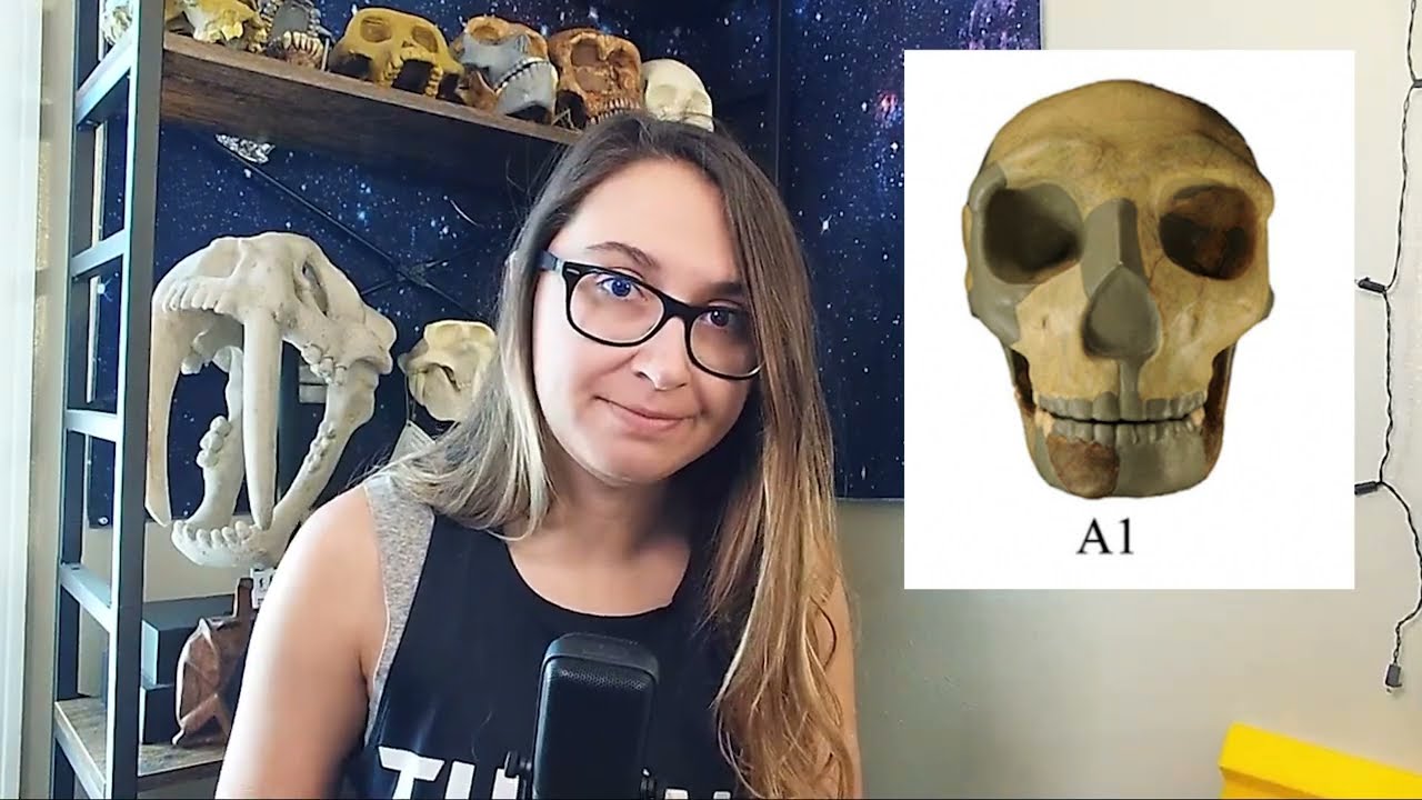 Что же такое HLD 6?