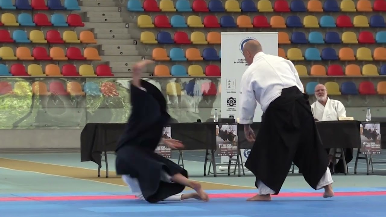 1er ALL SPAIN AIKIDO EMBUTAIKAI.