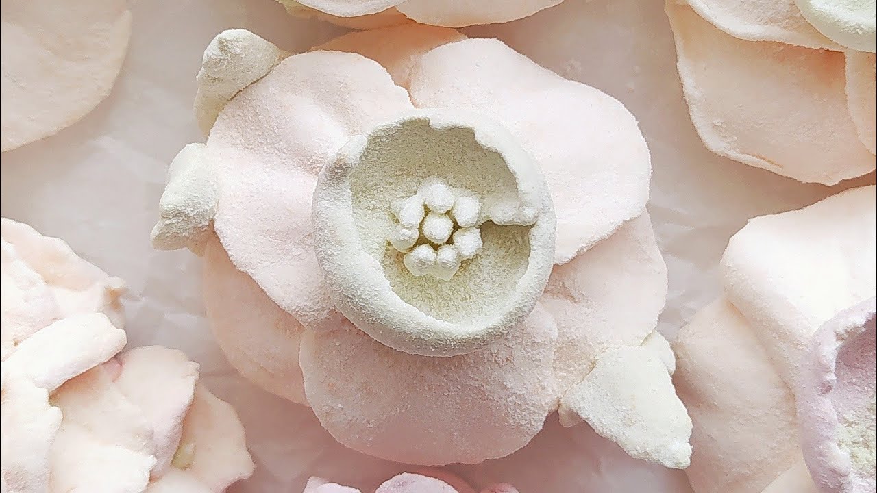 Зефир тыквенно-яблочный 🍥| Нарцисс и Гортензия из ЗЕФИРА 🌸