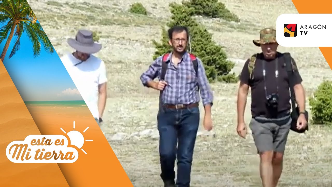 La ruta de los Cinco Altos en Monteagudo del Castillo
