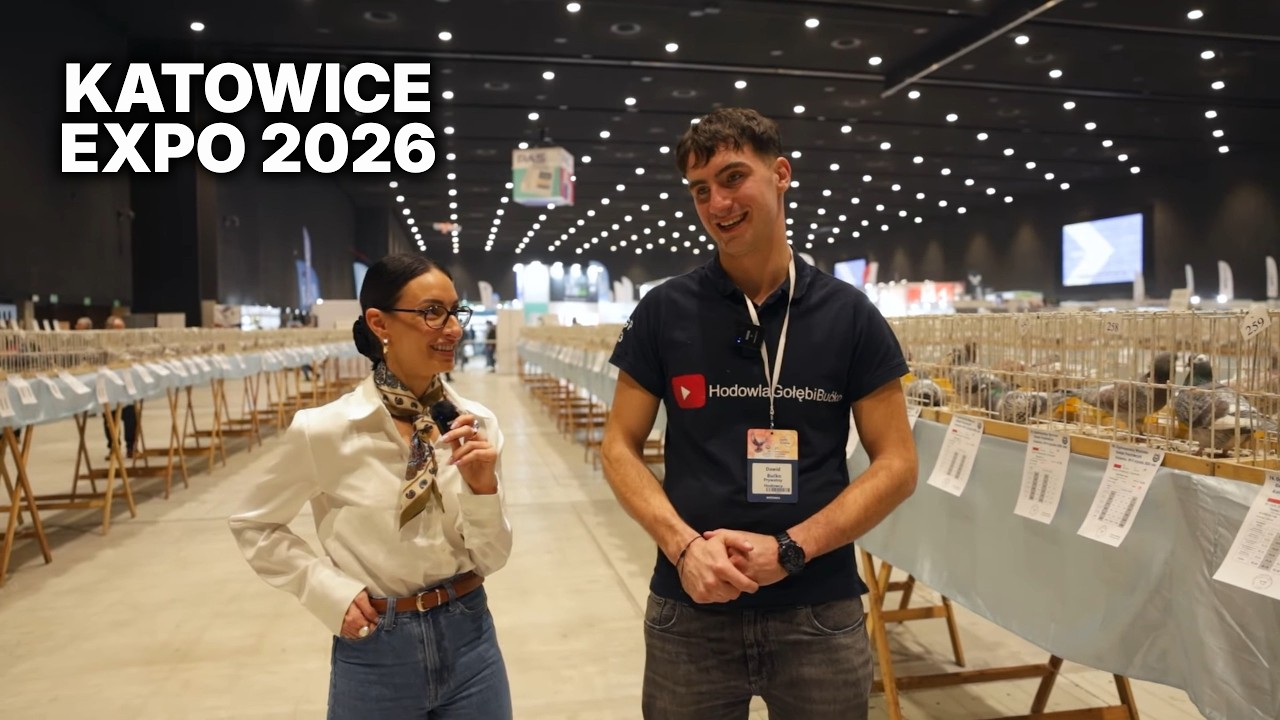 Expo 2026 Katowice czyli jak dobrze wejść w sezon 2026?