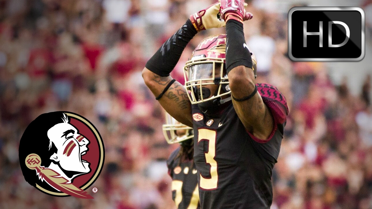Derwin James || Hardest Hitting Safety in the Country || Ultimate Florida State Highlights