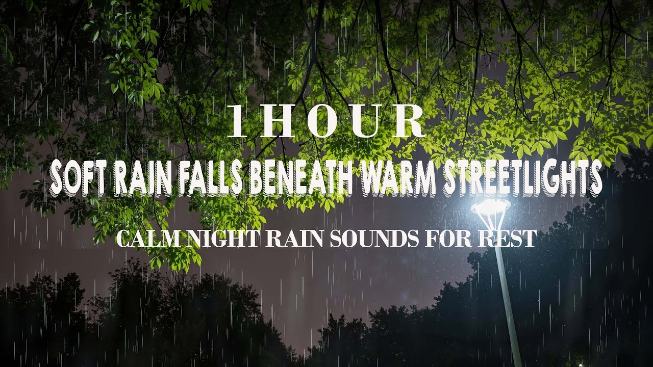 1 Hour Soft Rain Beneath Warm Streetlights | Calm Night Rain Sounds for Deep Rest and Relaxation