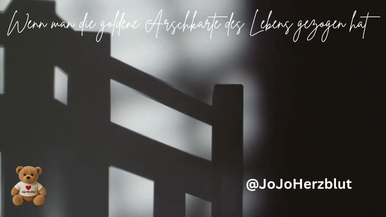 Wenn man die goldene Arschkarte des Lebens gezogen hat 😢 | Emotionaler Song | JoJoHerzblut
