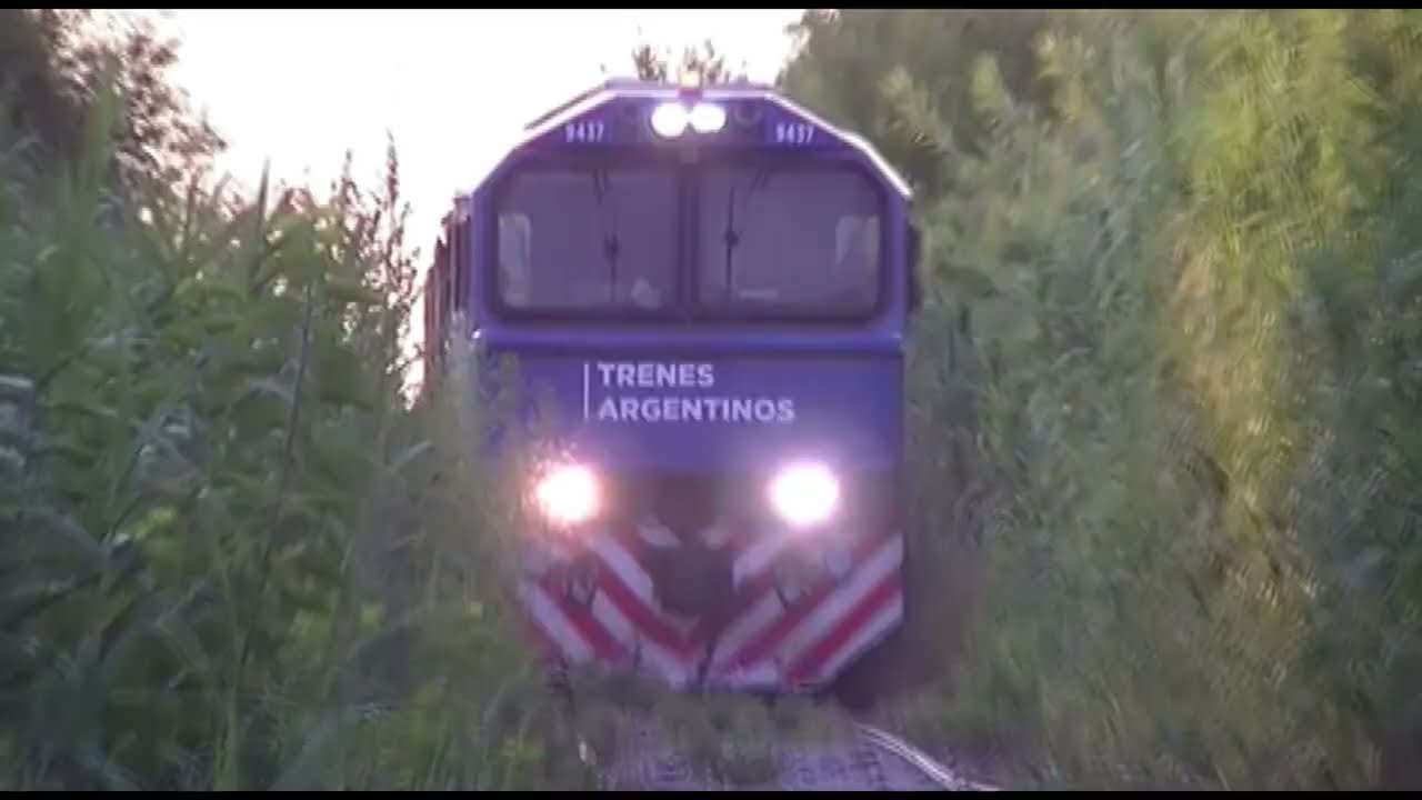 We almost got hit by the train.