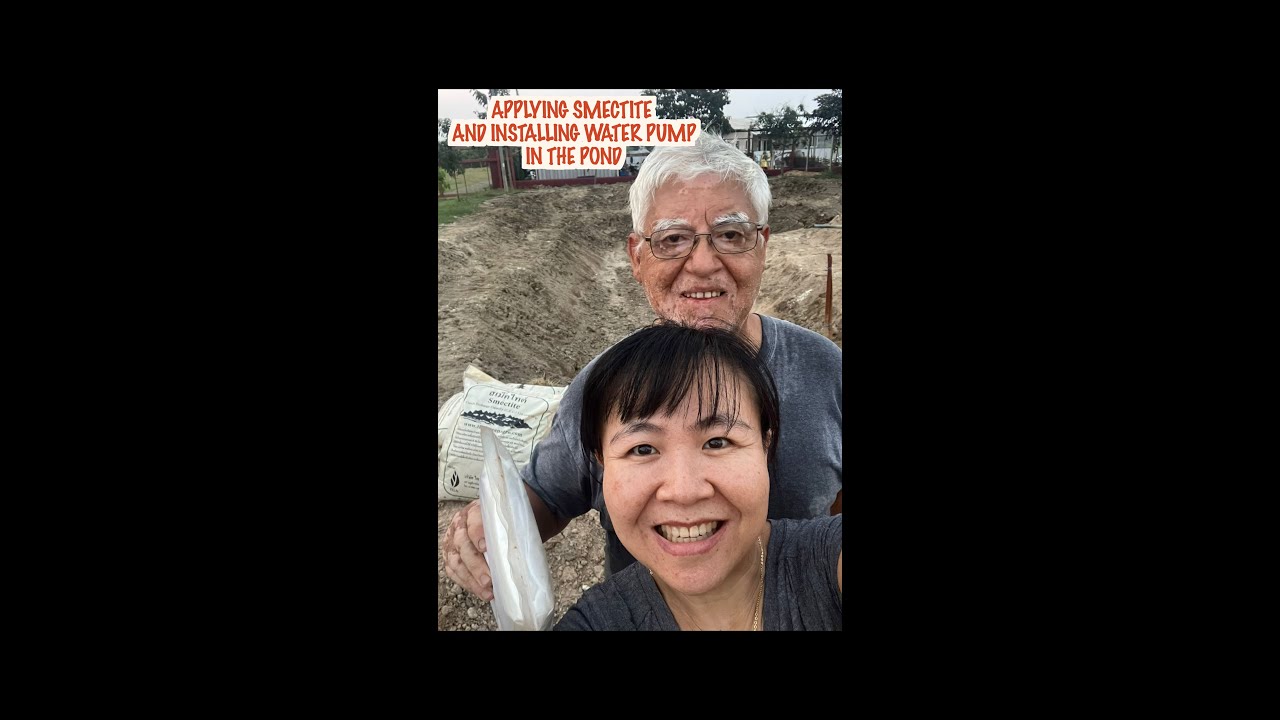 Applying Smectite And Installing Water Pump In The pond