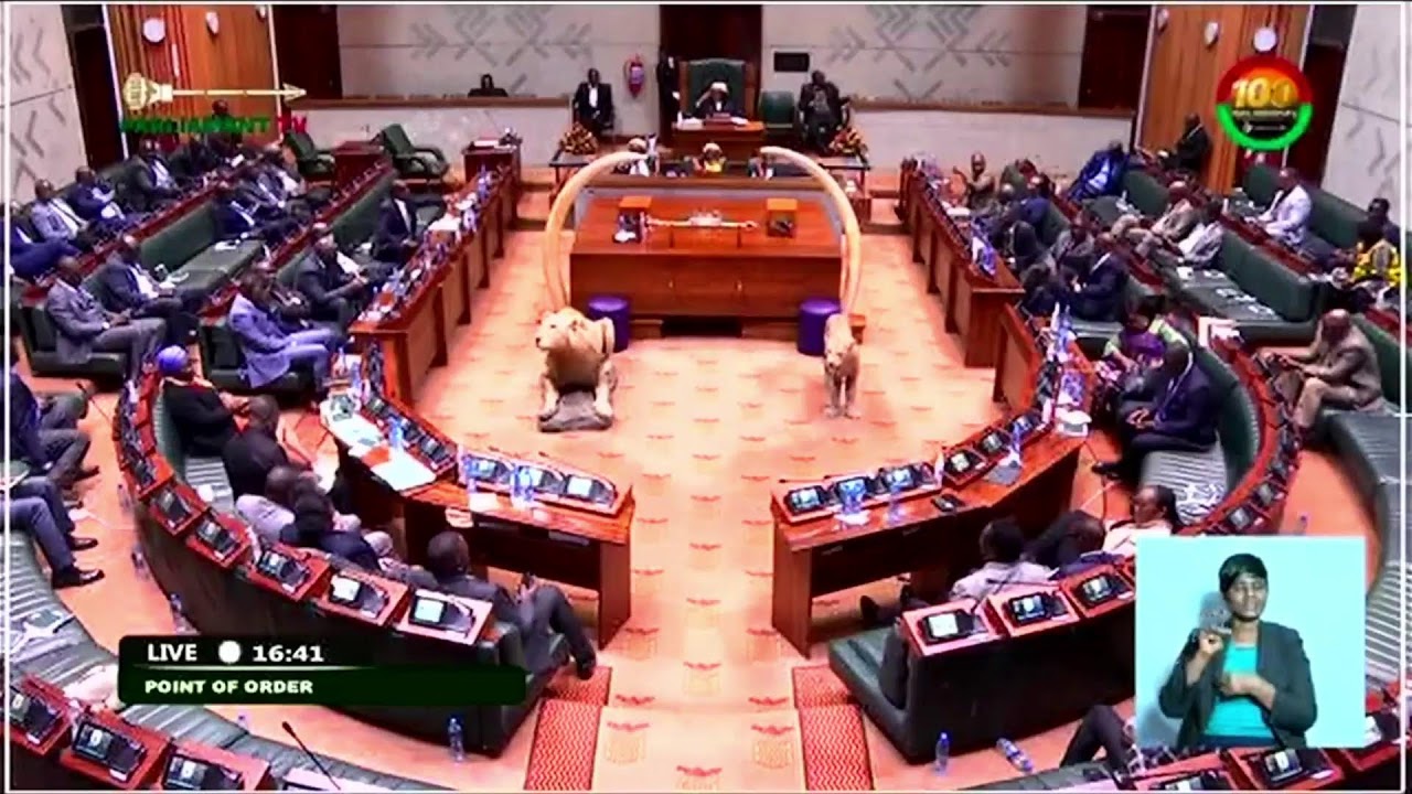 National Assembly of Zambia  Live Stream