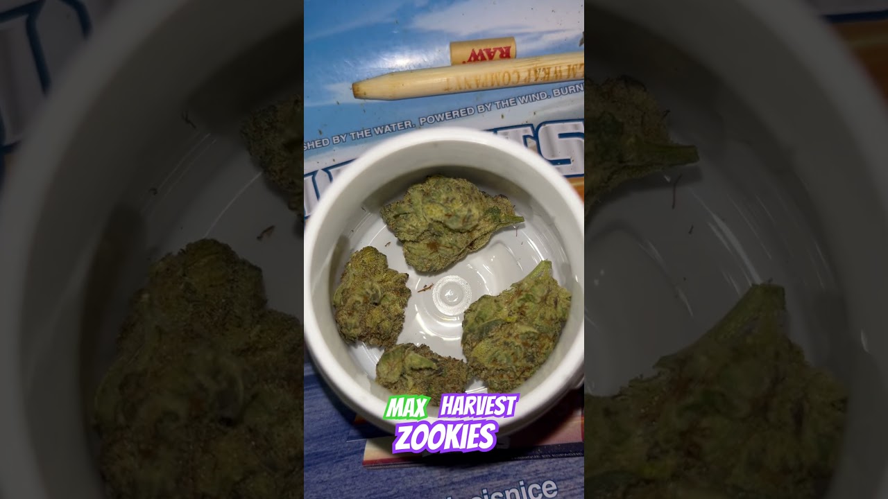 MaxHarvest- Zookies #cannabisdaily #stonersociety #maxharvest #zookies