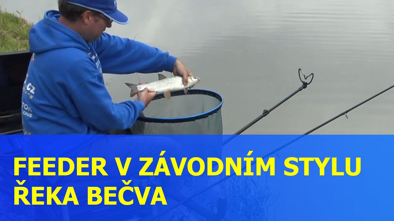Feeder v závodním stylu - řeka Bečva