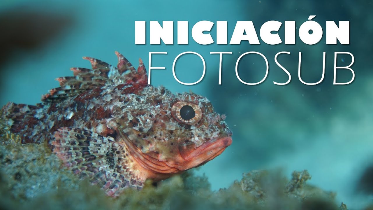 INICIÁNDOME EN LA FOTOSUB