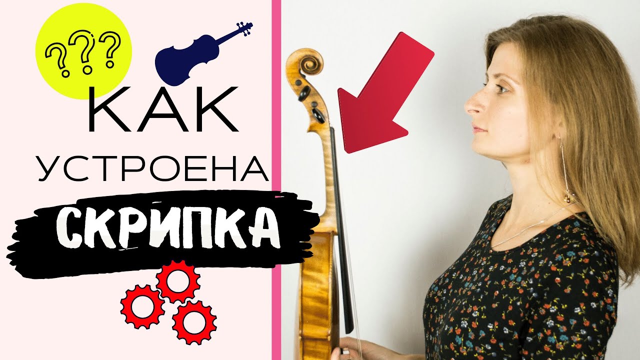 Строение Скрипки / Смычка