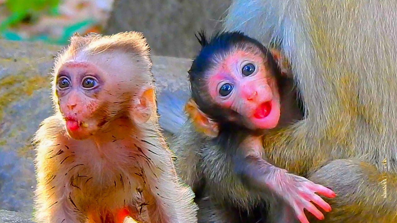 Uncle and nephew are really beautiful (Boris is the newborn's uncle)