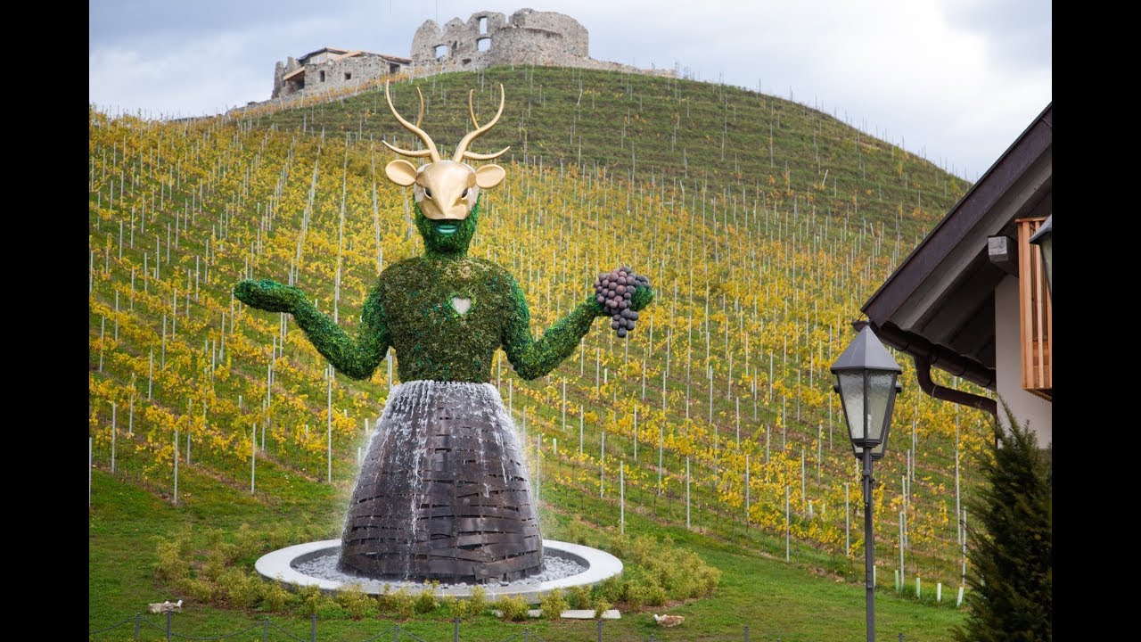 Weingut Taggenbrunn - Marktplatz Mittelkärnten