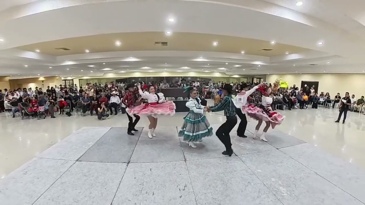 POLKA THELMA