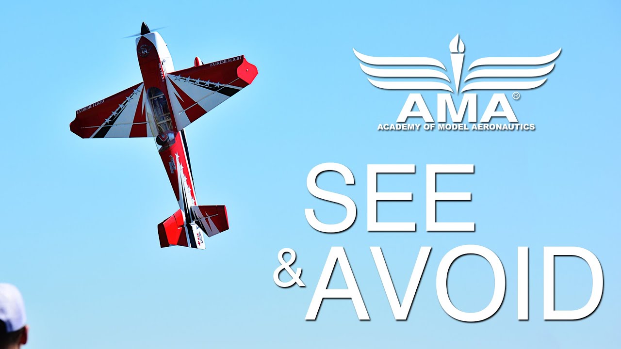 See & Avoid - Modeling Safety Awareness in the National Aerospace