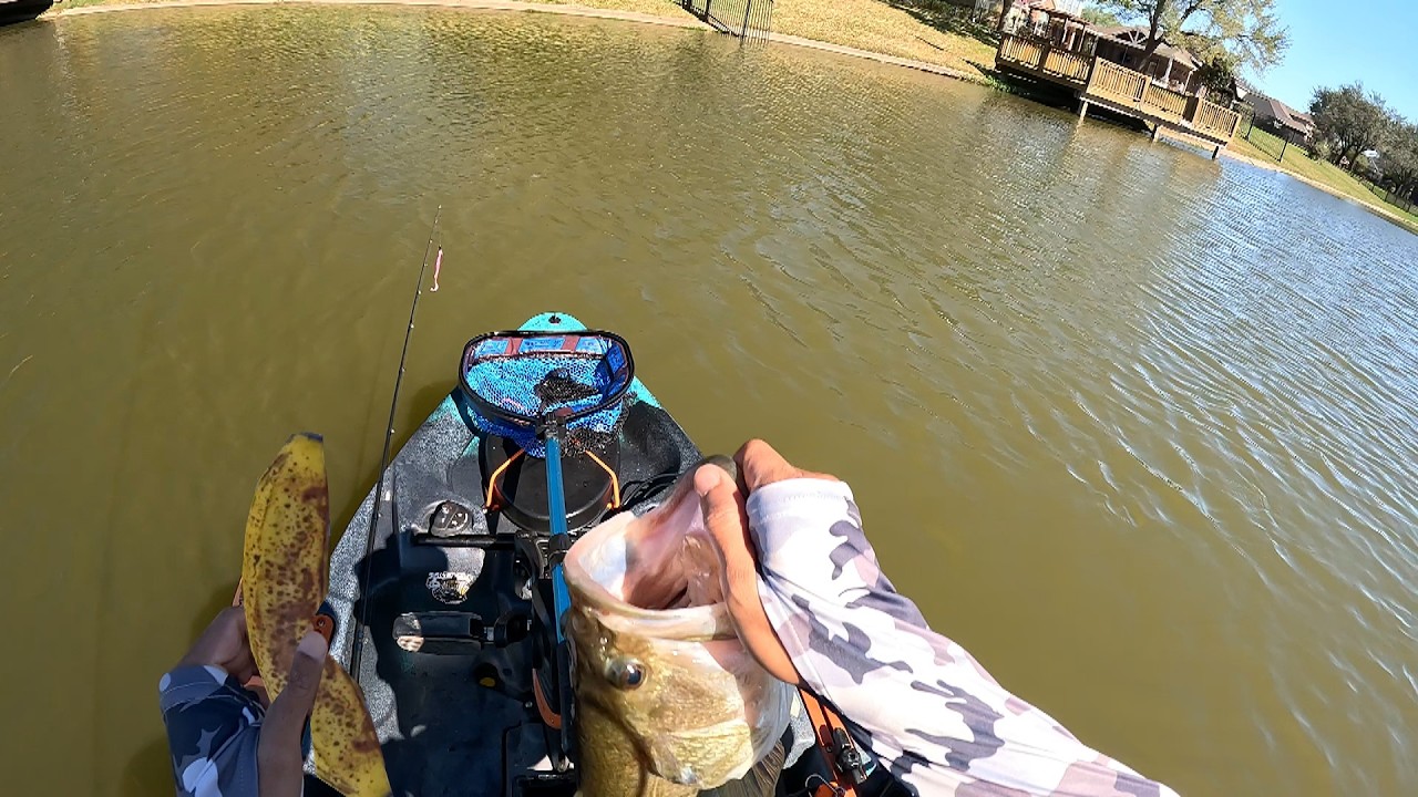 Are Bananas Actually Bad Luck for Fishing??? (Surprising Results!!!, Take 3)