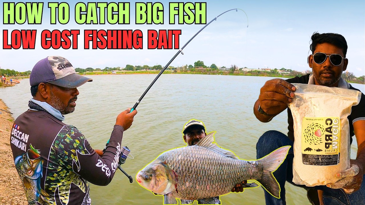 सस्ती मछली के चारे से पकड़ी विशाल कटला मछली😮| BIG CATLA FISH HUNTING VIDEOS | DECCAN SHIKARI FISHING