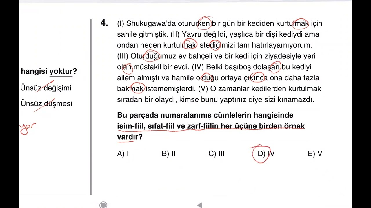Dil Bilgisi Denemeleri, Deneme 53, Genel