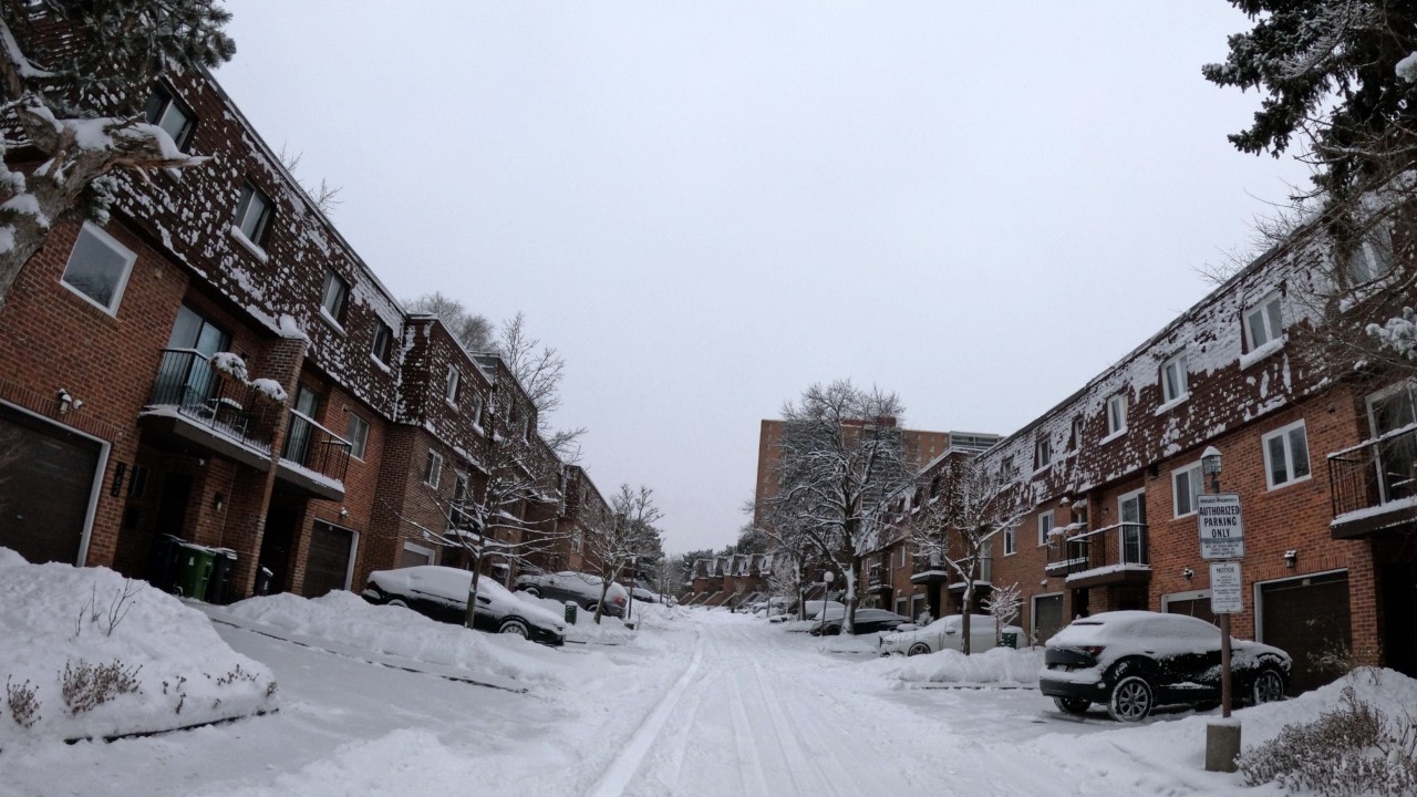 The Morning After a Heavy Snowstorm ❄️