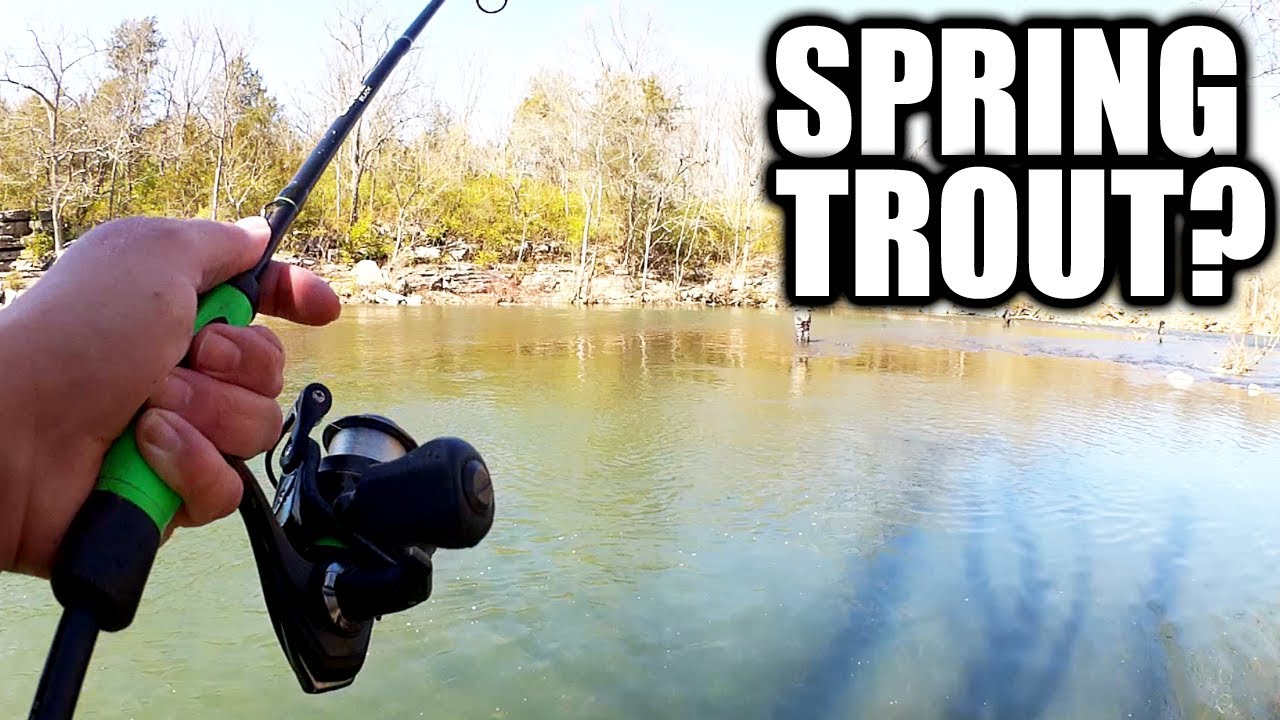 Spring Fishing for Stocked Trout - Are All of the Rainbow Trout Gone?