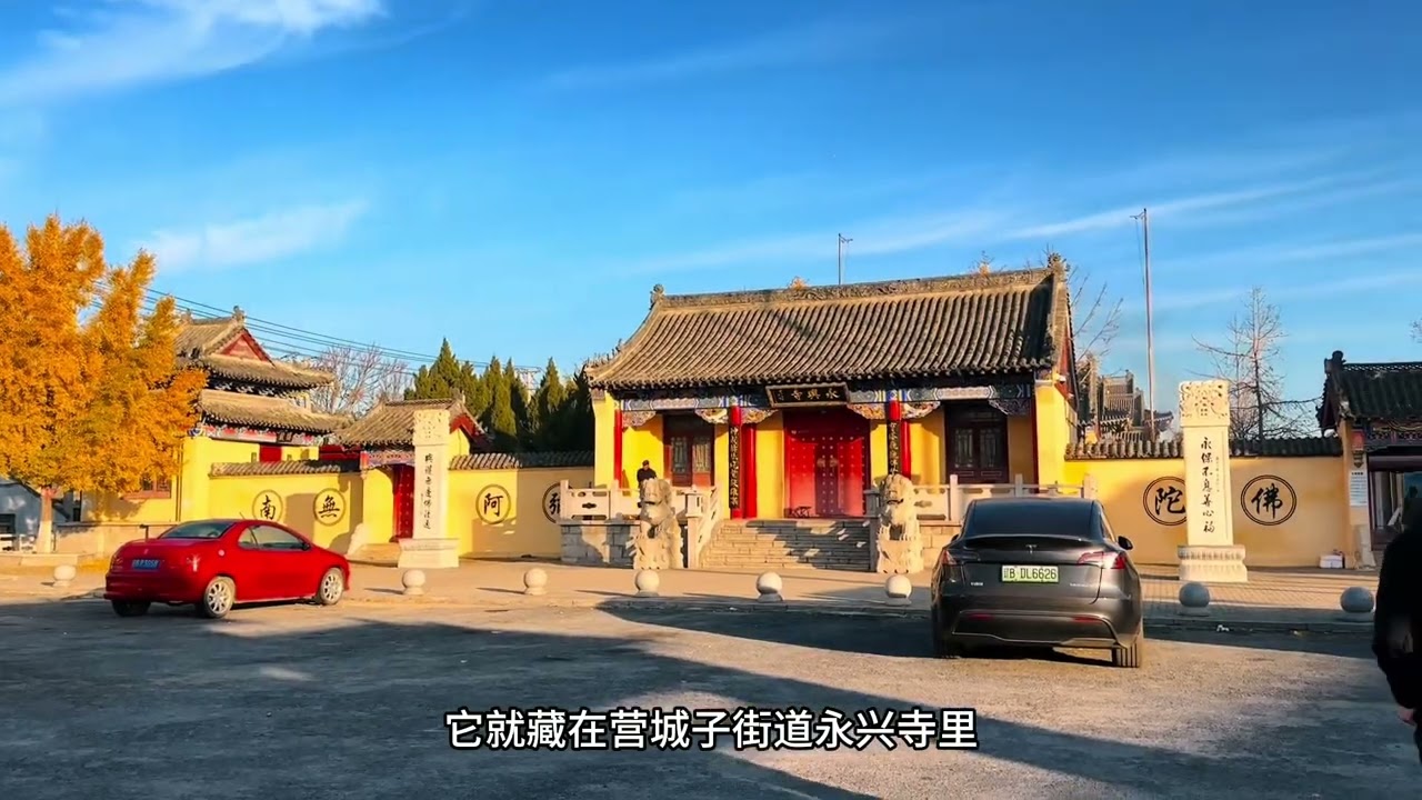大连四棵千年古银杏树的风采和旅游攻略， #秋天的风景 #历史古迹 #最美银杏树 #大连旅游攻略 #治愈系风景