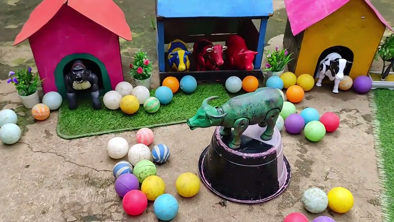 BUNNY COLORFUL BALL ADVENTURE || SATISFYING RAINBOW BALLS WITH ADORABLE BABY CHICKS