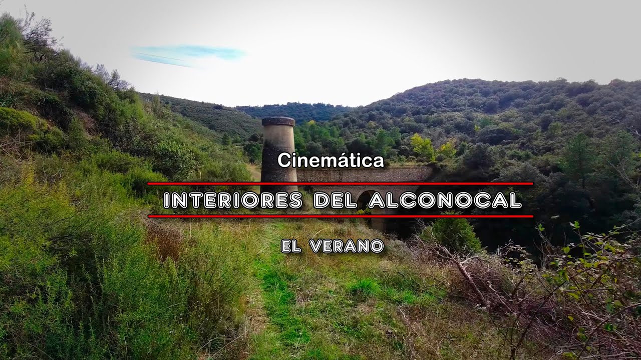Interiores de un alcornocal