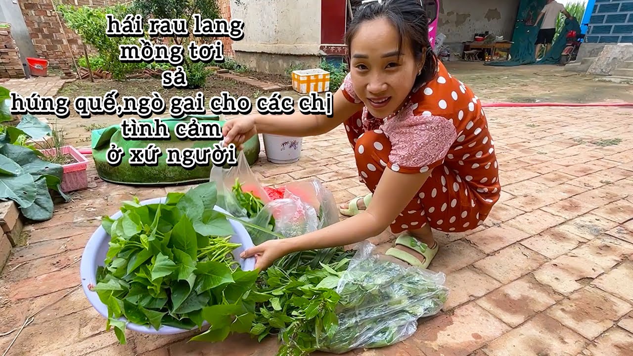 #713 Ở Xứ Người Lá Lành Đùm Lá Rách niềm vui dâu việt gặp chị em đồng hương việt nam cảm xúc vô cùng