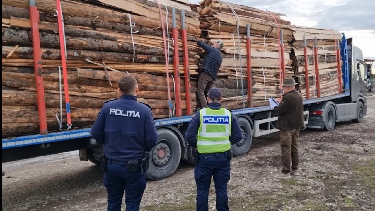 Mafiot cu șofer s-a întâlnit cu poliția 112 și Garda Forestieră ! Confiscări și amenzi !
