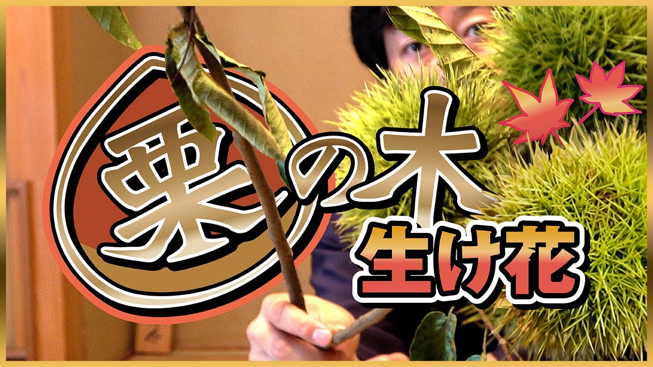 【初秋の生け花】栗の木で生け花してみた！