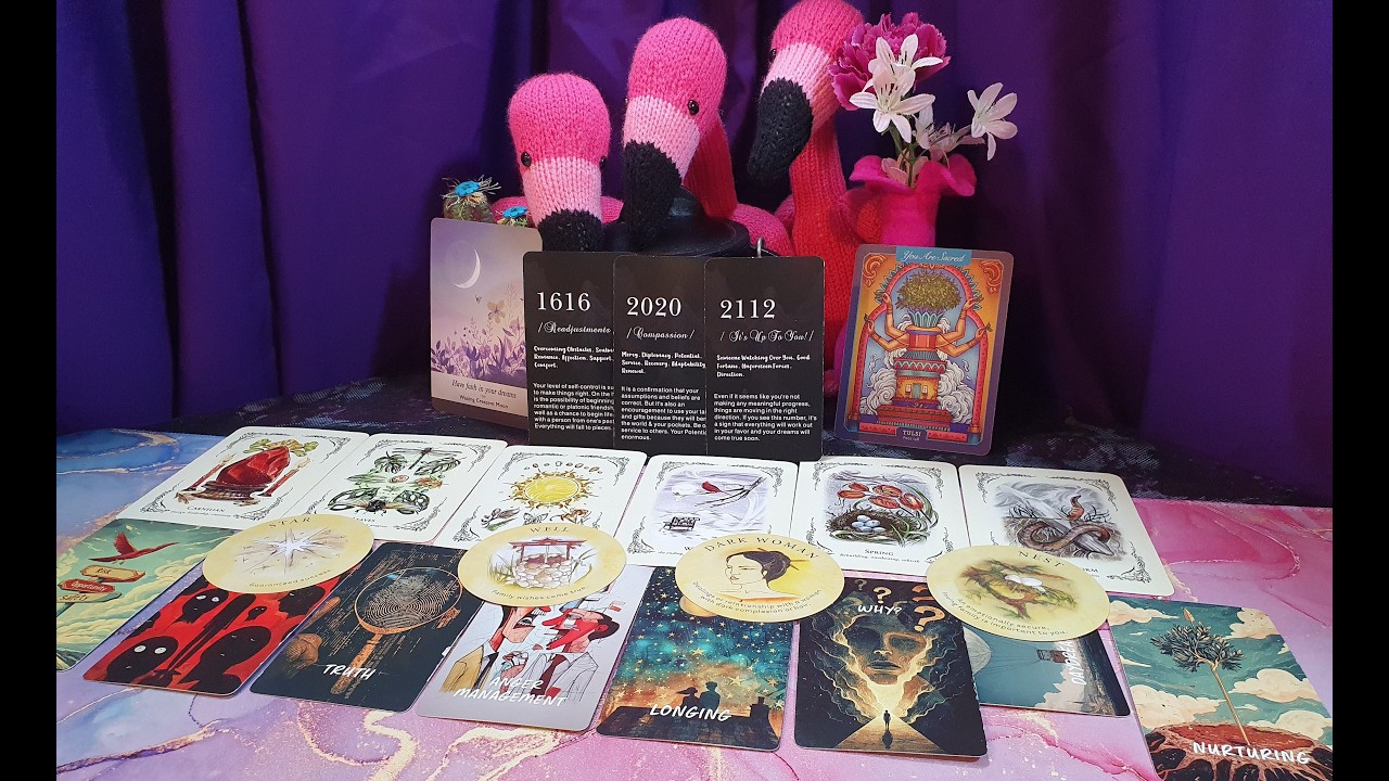 Copia Stars Tuesday 24th feb #1616 #2020 #2112   HAVE FAITH IN YOUR DREAMS   FOLLOW SIGNS