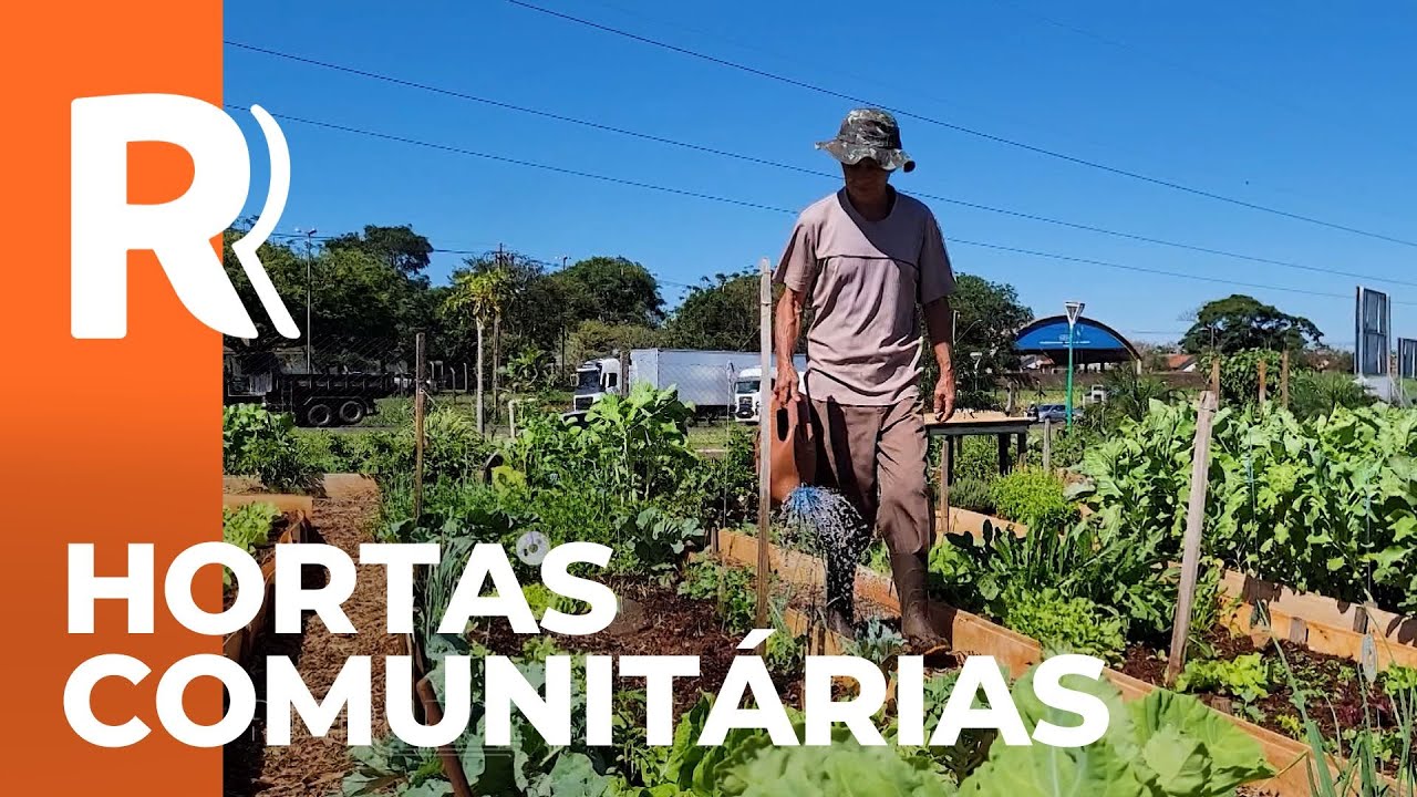 Hortas comunitárias em Maringá são modelo para municípios