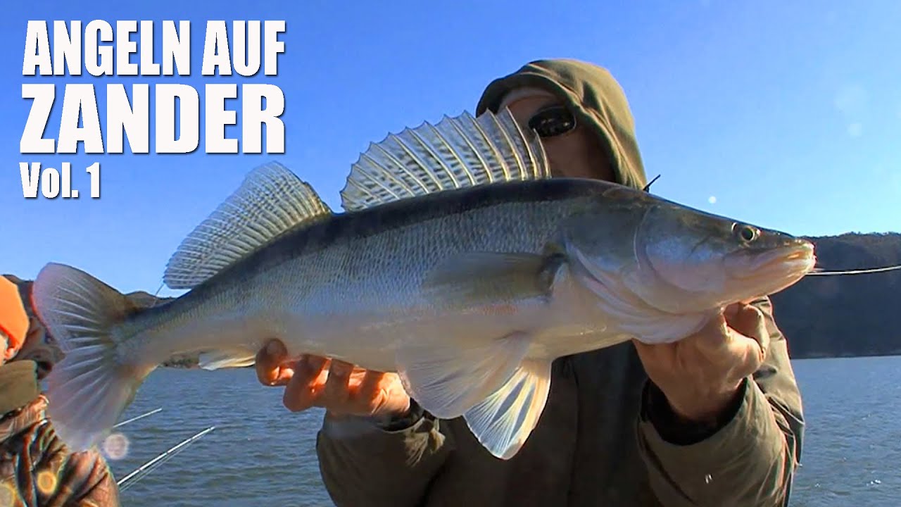 (HD) Angeln auf Zander (1)