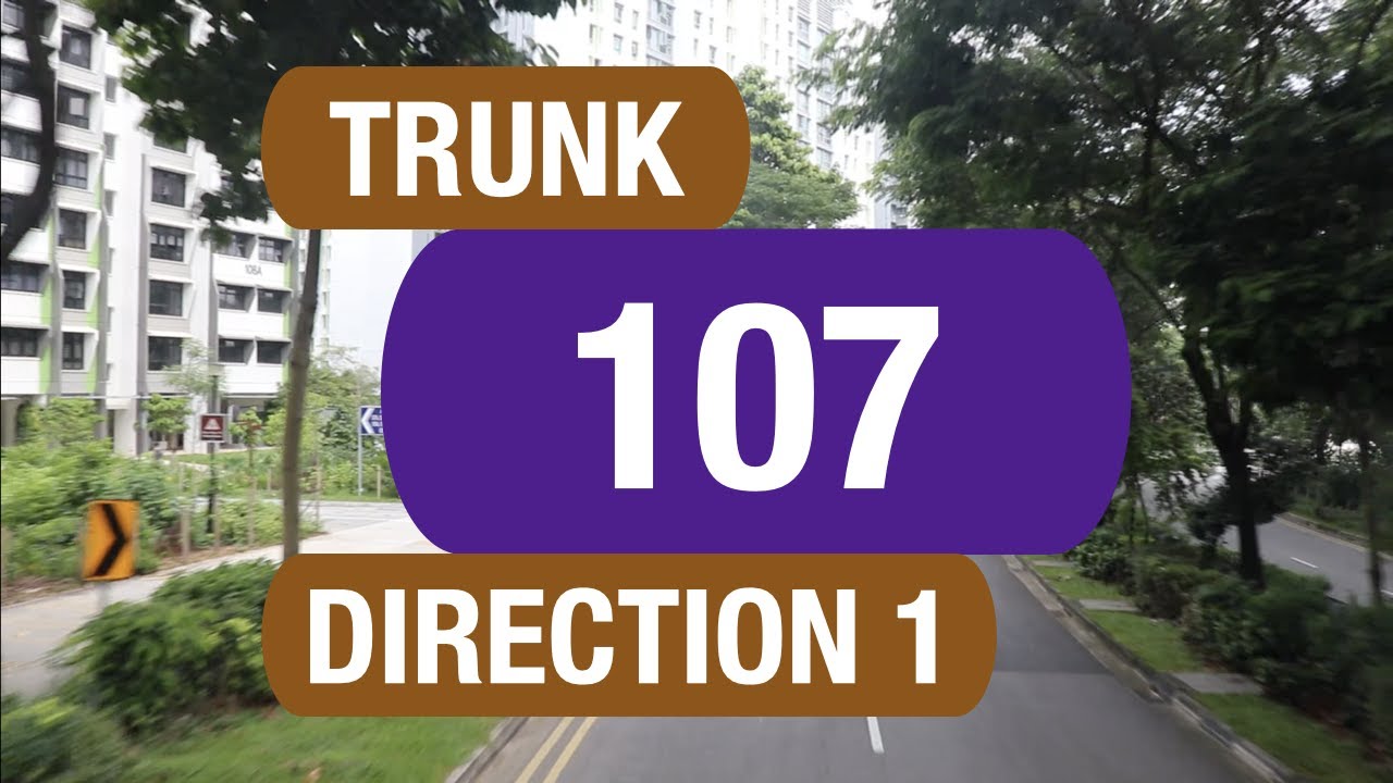 SBS Transit Trunk 107 (Direction 1) | Bus Service Route Visual