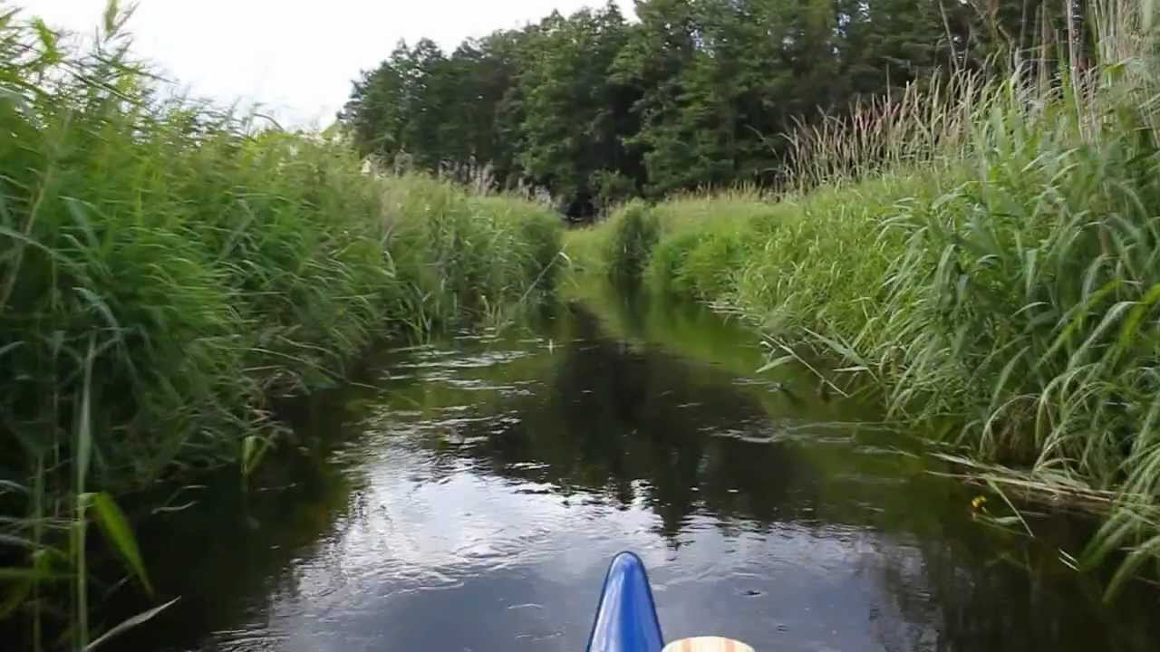 Rzeki Puszczy Knyszyńskiej: Płoska i Słoja