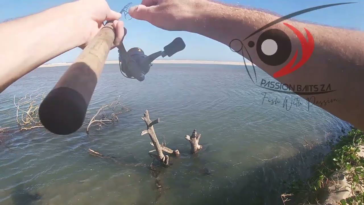 Illovo River KZN Vs The Sprat!