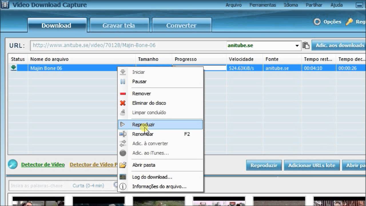 Maneiras simples para baixar v&iacute;deo do Anitube