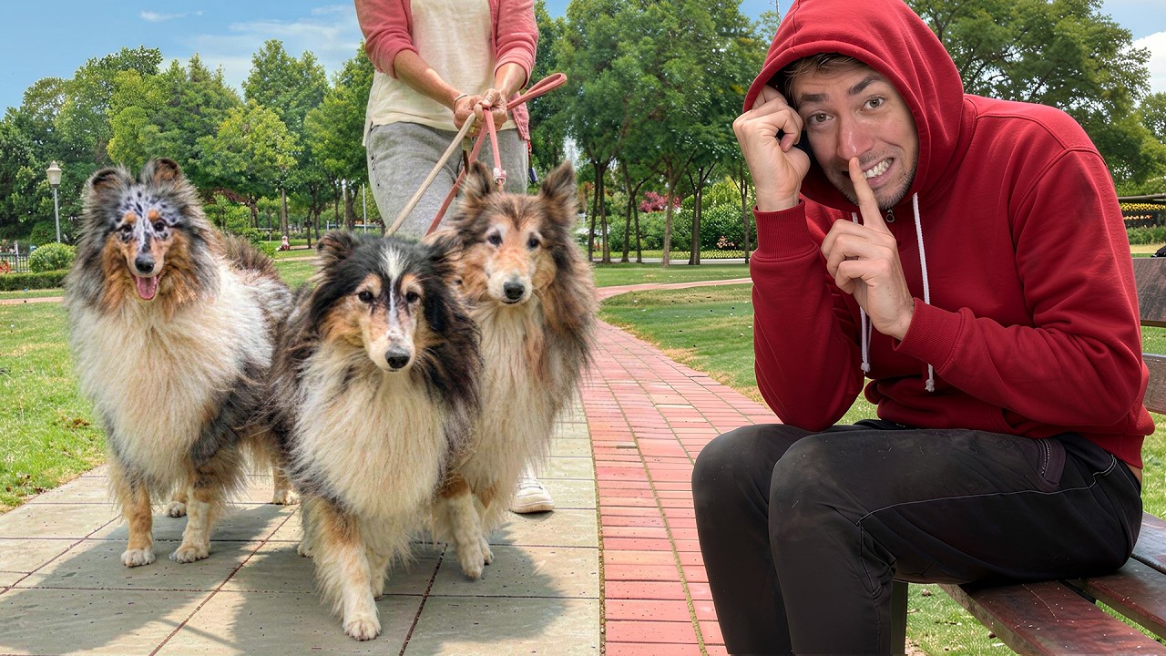 Mi RICONOSCERANNO se mi NASCONDO in pubblico?