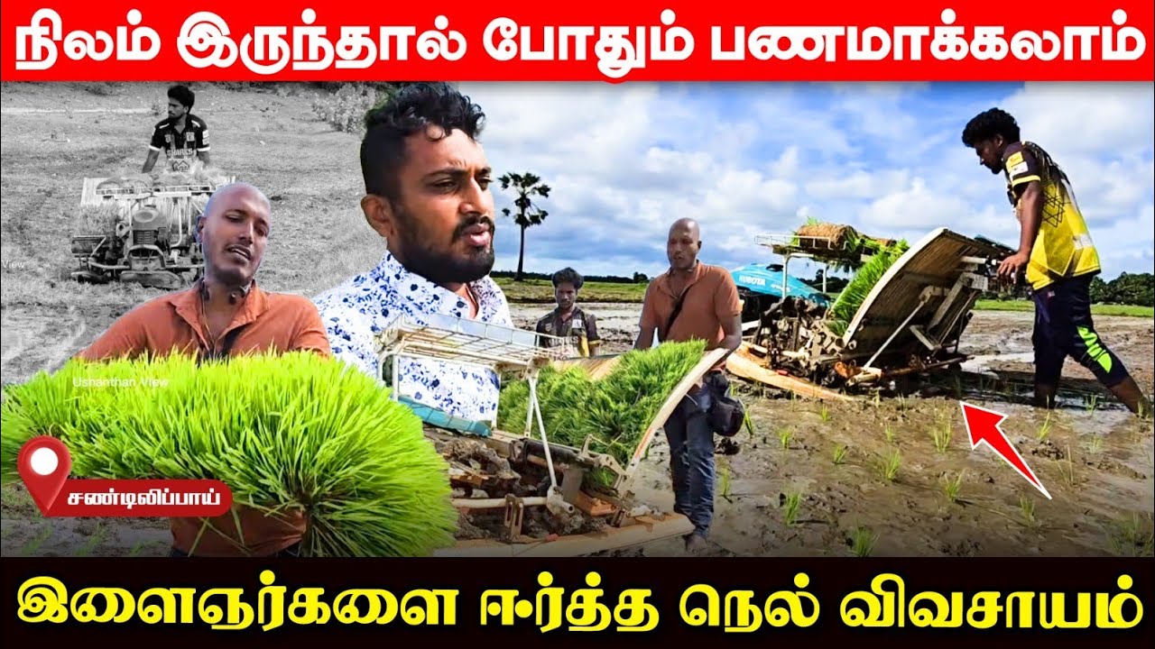 இனி வெளிநாடு போக தேவையேயில்லை; நவீன முறையில் அசத்தும் ஈழத்து இளைஞர்கள்! | UshanthanView