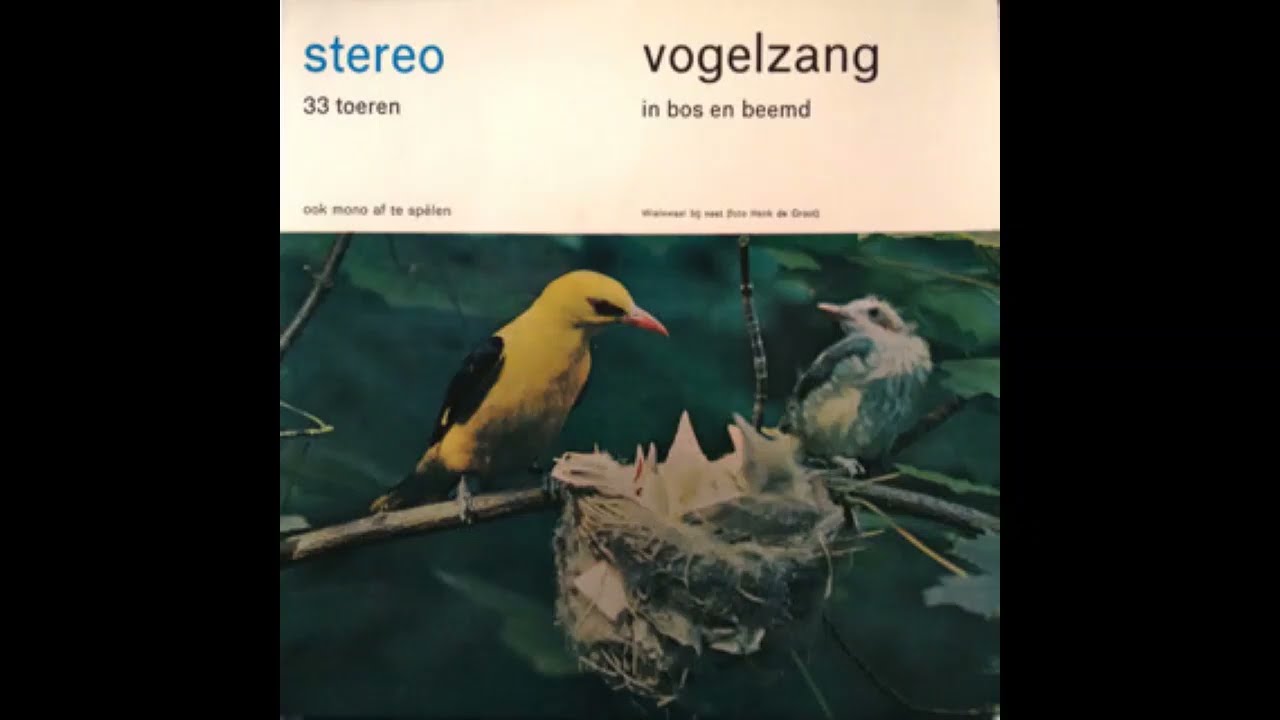 Vogelzang (in bos en beemd) | Birdsong (forest and meadow) | recorded by Hans A. Traber