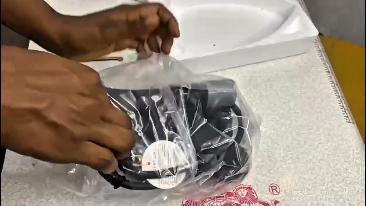 Unboxing The Two lion Electric Steam Iron 