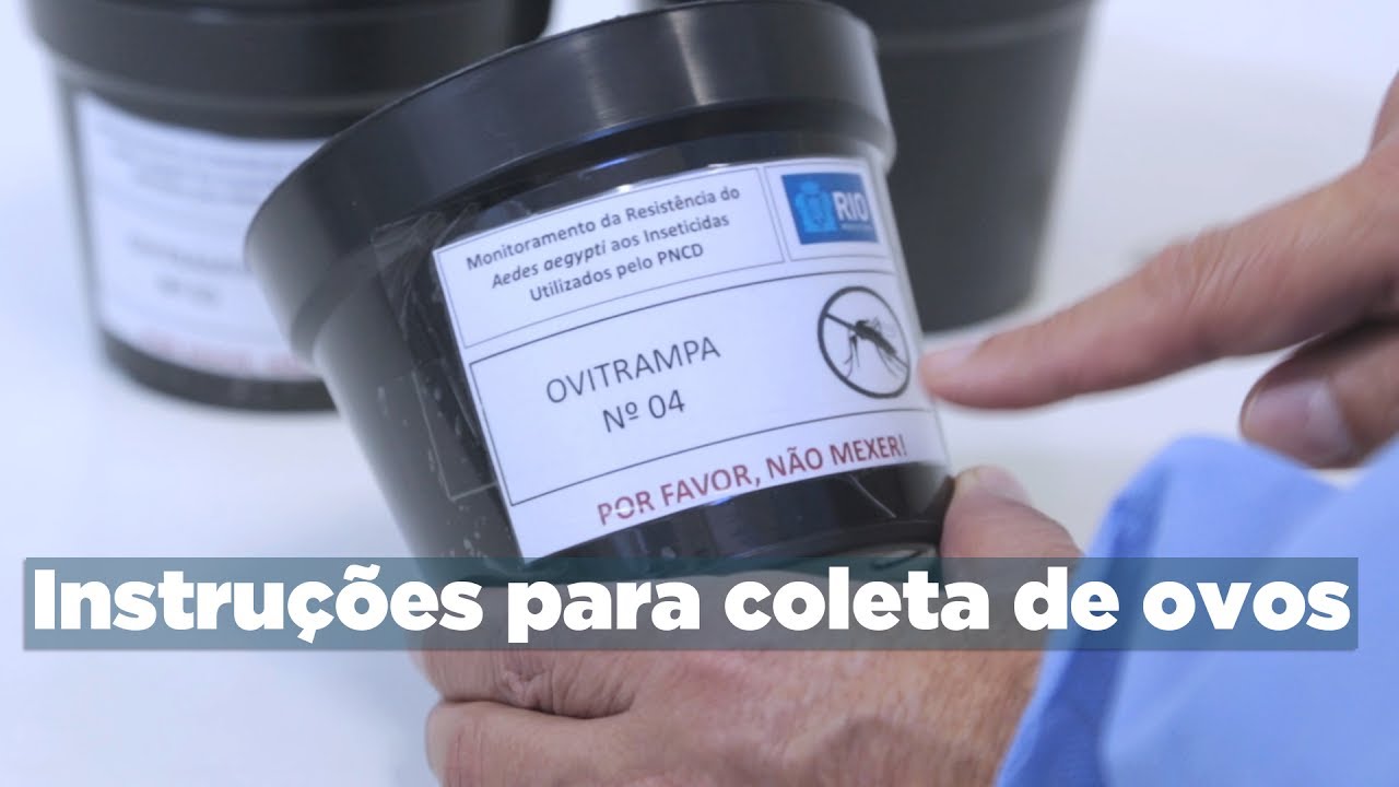 Metodologia para coleta de ovos de Aedes aegypti: vídeo de treinamento (2017)